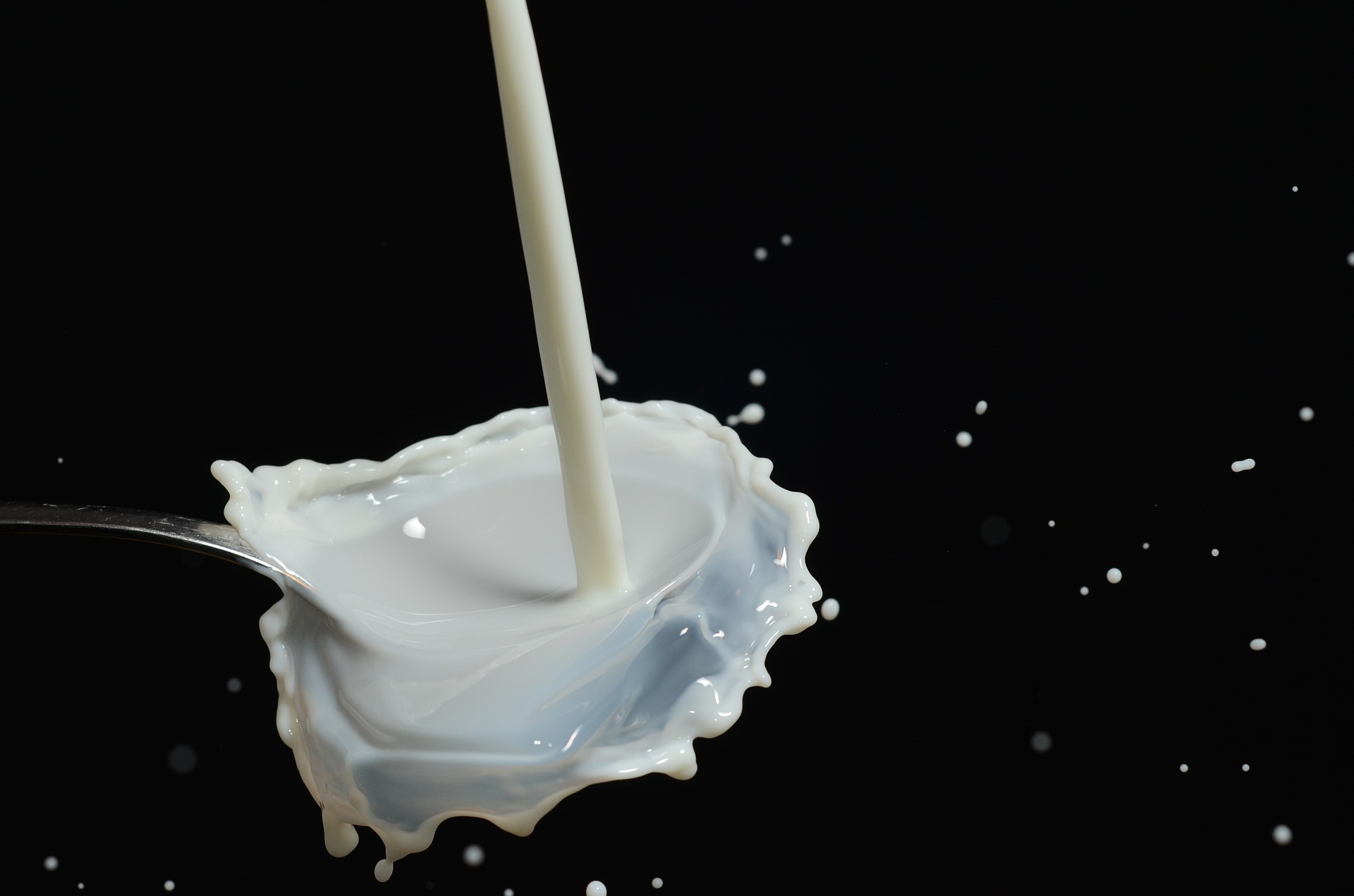 Світовий ринок органічних молочних продуктів зросте до $28 млрд